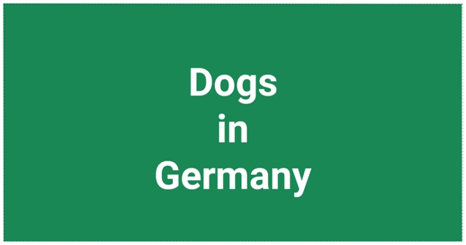 Dogs in Germany – How to Adopt