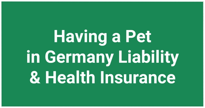 Pets in Germany + Liability & Health Insurance